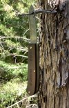 outdoor11.JPG