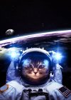 Scrappy in Space-1a.jpg