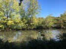 C7541235-722F-400D-9AD6-D900C2678515.jpeg