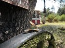 DSCN8160.JPG