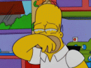 homer-crying.gif