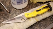 Spyderco Salt.jpg