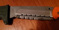 Serrations.jpg