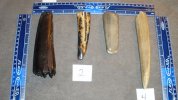 blade forum 1-4 001.jpg