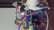 2012-12-09_08-24-27_1.jpg