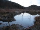 river scene IMG_0453.jpg
