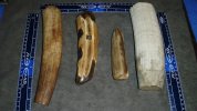 blade forum 001.jpg