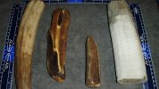 blade forum 002.jpg