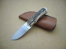 CPM 154 & Stag 002.jpg