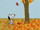 snoopy.gif