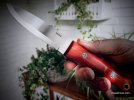 Woodlore padouk 8.jpg