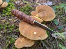 Puukko-on-mushrooms.jpg