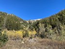 IMG_4215.jpg