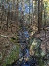 Schmid-Preserve-stream-.jpg