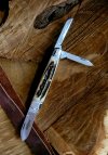 592322 GEC NF Shaffer Farm Whittler- Sambar Stag (16).jpg