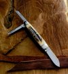 592322 GEC NF Shaffer Farm Whittler- Sambar Stag (18).jpg