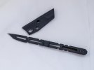 Amsler-02.jpg