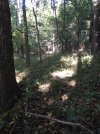 F8E814D1-0D8A-4AD4-A25A-B862F9763806.jpeg