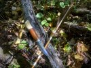 G Knives Puukko - 1.jpeg