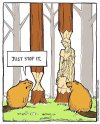 079bf6a8315d3125a8798107e6cb4c43--woodcarving-funny-cartoons.jpg