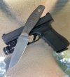 G17 DEK1.jpg