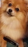 20201104_152439.jpg