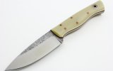 Bushfinger NatG10.jpg