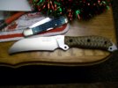 busse 005.jpg
