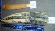 blade forum 004.jpg