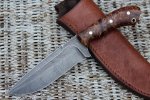 hhh feather fighter 004 (800x533).jpg