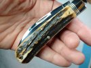 470120 GEC NF Viper- Sambar Stag (10) 330 pcs produced.jpg