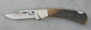 112.Ram.Horn.012922.JPG 112.Ram.Horn.012922.JPG