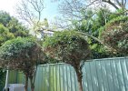IMG_20221016_160718.jpg