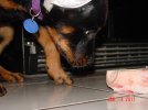 DSC01803 - Copy.JPG