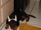 DSC01810 - Copy.JPG