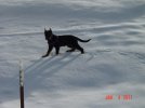 DSC01826 - Copy.JPG
