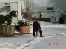 DSC01828 - Copy.JPG