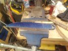 IMG_20221009_102415.jpg