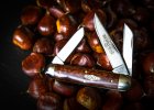 #53 Cuban Muskrat snakewood #042 Maronen Food-2.jpg