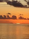 IMG_20220906_193623981.jpg
