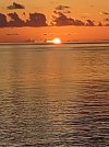 IMG_20220906_193554755.jpg