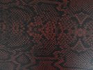 Blood Rattler-1a.jpg
