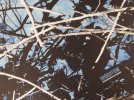 Undertow-1a.jpg