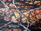 Wildfire-1a.jpg
