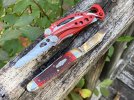 29 Skeletool RX 1.JPG
