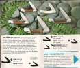 Buck 1985 Catalog - 500.jpg