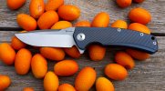 Reate Mini Horizon-D .jpg