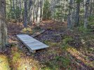 Bog-bridge.jpg