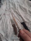 20221022_151945.jpg