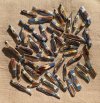 1-2022-10-22 Stag Collection.JPG